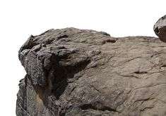 a bird is perched on the top of a rock with a white sky in the background