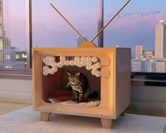 a cat is sitting in a small wooden box on the floor next to a window