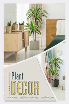 a collage of photos with plants and furniture in the background that says plant decor