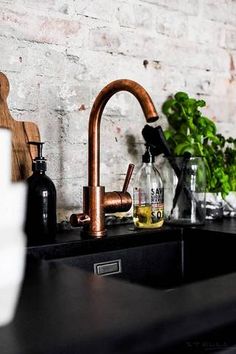 a kitchen sink with copper faucet and green plants on the counter top next to it