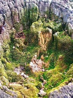 an aerial view of moss growing on rocks and cliffs in the mountainside area, with green vegetation