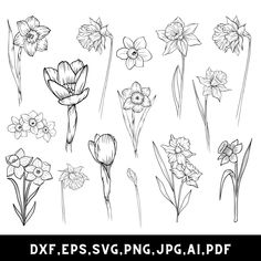 different types of flowers drawn in black and white with the text dxf eps svg