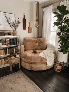 a living room filled with furniture and bookshelves next to a large potted plant