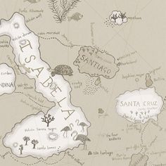 a map that has some animals on it and is in the shape of santa cruz