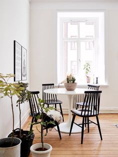 a white table and chairs in a room with wooden floors, potted plants on the wall