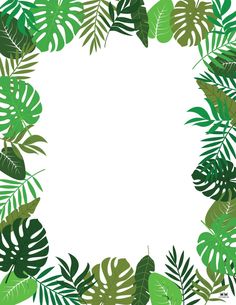 a square frame made up of green tropical leaves on a white background with copy - space in the center