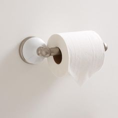 a roll of toilet paper is hanging on the wall