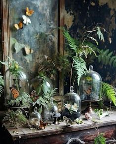 there are many plants and glass domes on the table in front of the mirror with butterflies flying around