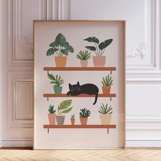 a black cat is sitting on a shelf with potted plants and houseplants