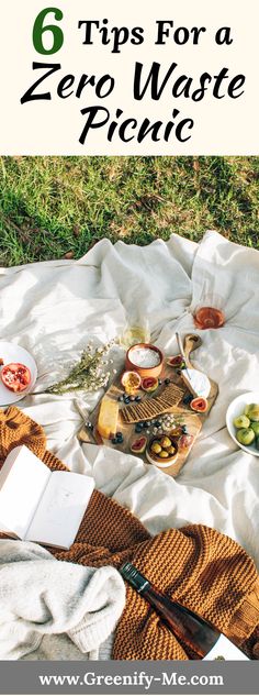 a picnic blanket with food on it and the words 6 tips for a zero waste picnic