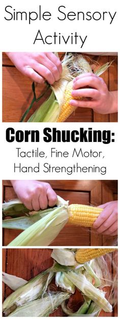 corn on the cob is being cut up and put into plastic bags for storage