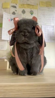 a gray rabbit with pink ribbon around its ears sitting on top of a wooden desk