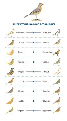 birds that are standing in different positions on a white background with the words understand logo design brief