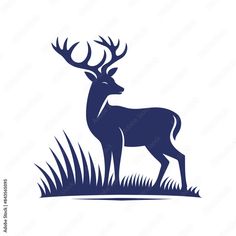 a deer standing in the grass with antlers on it's head and horns