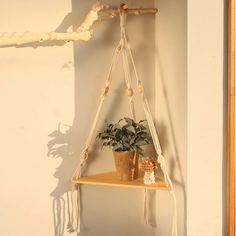 a potted plant sitting on top of a wooden shelf