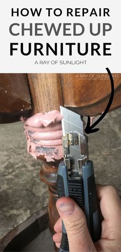 a person holding a piece of furniture with the words how to repair chewd up furniture