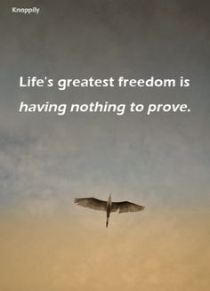 a bird flying in the sky with a quote on it that reads, life's greatest freedom is having nothing to prove