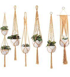 macrame plant hangers with plants in them