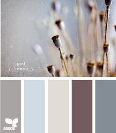 an instagram page with the words pint on it and pictures of flowers in different colors