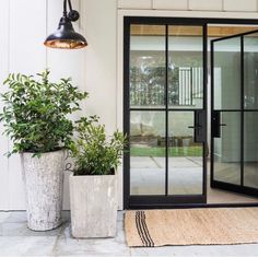 two potted plants sitting on top of a rug next to an open glass door