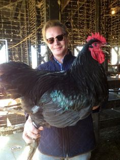 a woman holding a large rooster in a cage