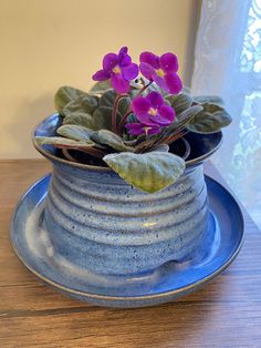 purple flowers in a blue vase on a wooden table