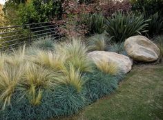 some very pretty plants and rocks in the grass by a fence with trees behind it