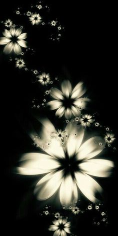 black and white photograph of flowers in the dark