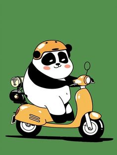 a panda bear riding on the back of a scooter