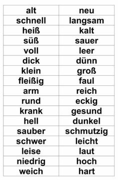 two different types of words that appear to be in the same language, but not in english