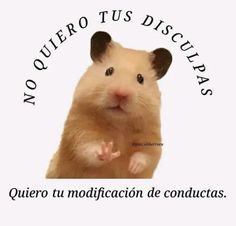 a hamster with the caption no quero tus discuaras