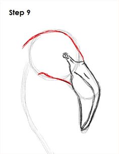 how to draw a flamingo step by step