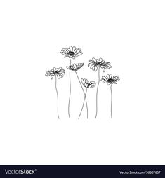 three daisies line drawing on white background