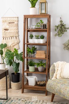 a living room filled with lots of potted plants