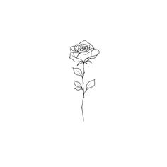 a black and white drawing of a single rose on a white background with the word love written below it