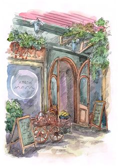 a drawing of a store front with plants on the windows