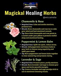 Healing Herbs Witchcraft, Herb Combinations, Flower Healing, Wiccan Illustration, Herbal Witch, Healing Flowers, Witchcraft Herbs, Flower Magic, Magickal Herbs