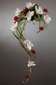 white and red flowers are hanging from a branch