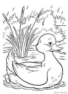 coloring page & line art Spring Coloring Pages, Bear Coloring Pages, Dessin Adorable, Colouring Pages