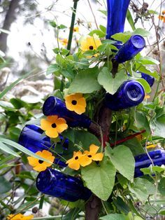 blue glass bottles with yellow flowers growing out of them are hanging from a tree branch