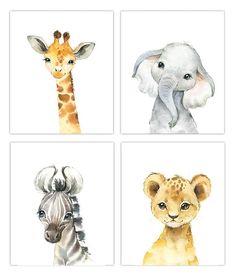 four watercolor paintings of different types of animals