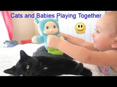 a baby playing with a stuffed animal and a black cat on a bed in front of the caption says cats and babies playing together