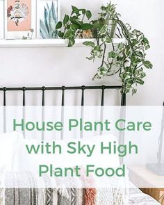 a bed with plants and pictures on the wall above it that says house plant care with sky high plant food