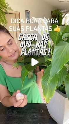 a woman holding a plant in her hand and looking at it with the caption, casca de ovo na plantas?