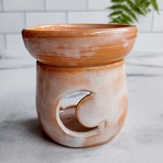 a ceramic pot with a ring on the bottom and a plant in the middle, sitting on a counter