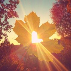 the words hello october are in front of an image of a leaf with the sun shining through it