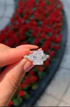 a woman's hand holding an engagement ring in front of red flowerbeds