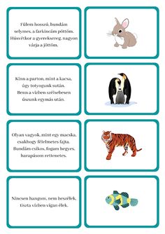 four different types of animals and their names