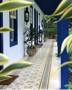 an outdoor walkway with potted plants and blue shutters