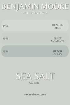 the sea salt menu is shown in white and gray colors, with an orange stripe on it